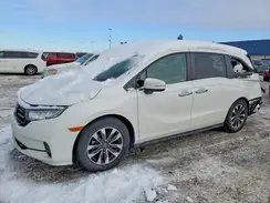 5FNRL6H77MB020692 2021 HONDA ODYSSEY