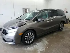 5FNRL6H77MB021065 2021 HONDA ODYSSEY