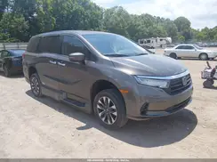 5FNRL6H77MB030719 2021 HONDA ODYSSEY