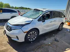 5FNRL6H77NB006342 2022 HONDA ODYSSEY