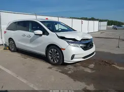 5FNRL6H77NB019771 2022 HONDA ODYSSEY