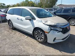 5FNRL6H77NB021911 2022 HONDA ODYSSEY
