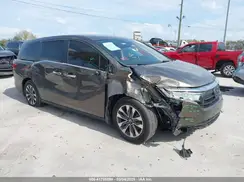 5FNRL6H77NB031502 2022 HONDA ODYSSEY