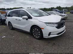 5FNRL6H77NB032729 2022 HONDA ODYSSEY
