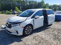 5FNRL6H77NB042208 2022 HONDA ODYSSEY
