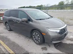 5FNRL6H77NB061499 2022 HONDA ODYSSEY
