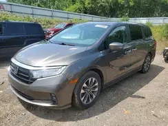 5FNRL6H77NB064984 2022 HONDA ODYSSEY