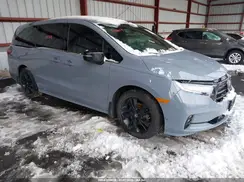 5FNRL6H77PB031907 2023 HONDA ODYSSEY