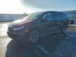 5FNRL6H77PB047895 2023 HONDA ODYSSEY