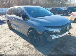 5FNRL6H77RB056504 2024 HONDA ODYSSEY