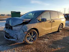 5FNRL6H77RB060634 2024 HONDA ODYSSEY