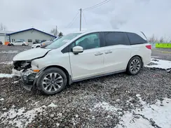 5FNRL6H78MB015758 2021 HONDA ODYSSEY