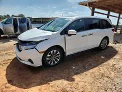 5FNRL6H78MB024315 2021 HONDA ODYSSEY