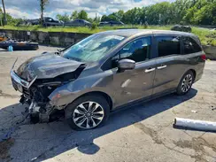5FNRL6H78MB038442 2021 HONDA ODYSSEY