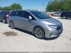 5FNRL6H78NB001506 2022 HONDA ODYSSEY