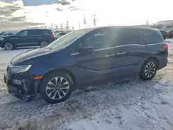 5FNRL6H78NB013753 2022 HONDA ODYSSEY