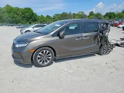 5FNRL6H78NB033937 2022 HONDA ODYSSEY