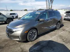 5FNRL6H78NB037356 2022 HONDA ODYSSEY