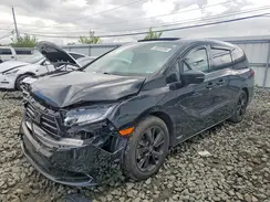 5FNRL6H78PB012105 2023 HONDA ODYSSEY