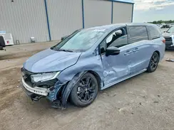 5FNRL6H78RB066345 2024 HONDA ODYSSEY