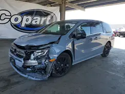 5FNRL6H78SB058798 2025 HONDA ODYSSEY