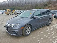 5FNRL6H79KB079904 2019 HONDA ODYSSEY