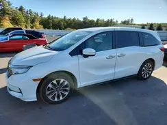 5FNRL6H79MB036277 2021 HONDA ODYSSEY
