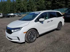 5FNRL6H79MB043486 2021 HONDA ODYSSEY