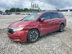 5FNRL6H79NB043991 2022 HONDA ODYSSEY
