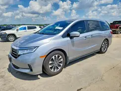 5FNRL6H79NB051802 2022 HONDA ODYSSEY