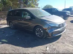 5FNRL6H79NB052237 2022 HONDA ODYSSEY