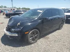5FNRL6H79PB067422 2023 HONDA ODYSSEY