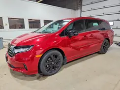 5FNRL6H79RB008356 2024 HONDA ODYSSEY