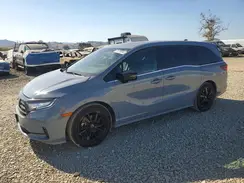 5FNRL6H79RB026968 2024 HONDA ODYSSEY