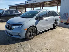 5FNRL6H79RB031877 2024 HONDA ODYSSEY
