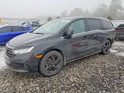 5FNRL6H79RB033936 2024 HONDA ODYSSEY