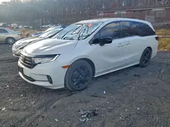 5FNRL6H79RB061266 2024 HONDA ODYSSEY