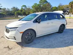 5FNRL6H79RB070257 2024 HONDA ODYSSEY