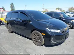 5FNRL6H79TB045656 2026 HONDA ODYSSEY