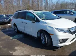 5FNRL6H7XKB119004 2019 HONDA ODYSSEY