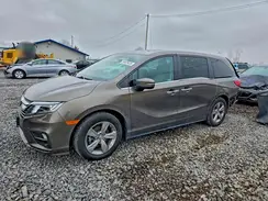 5FNRL6H7XLB008339 2020 HONDA ODYSSEY