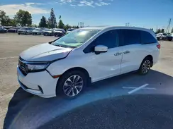 5FNRL6H7XMB007967 2021 HONDA ODYSSEY