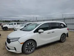 5FNRL6H7XMB023117 2021 HONDA ODYSSEY