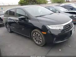 5FNRL6H7XMB031234 2021 HONDA ODYSSEY