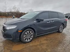 5FNRL6H7XMB039012 2021 HONDA ODYSSEY