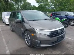 5FNRL6H7XNB008523 2022 HONDA ODYSSEY