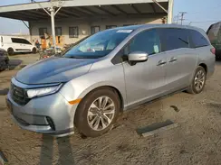 5FNRL6H7XNB030456 2022 HONDA ODYSSEY