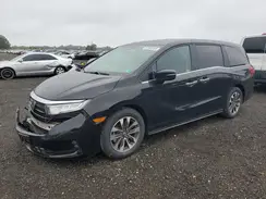 5FNRL6H7XNB065868 2022 HONDA ODYSSEY