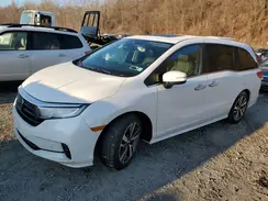 5FNRL6H80NB026053 2022 HONDA ODYSSEY