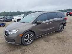 5FNRL6H80NB042088 2022 HONDA ODYSSEY